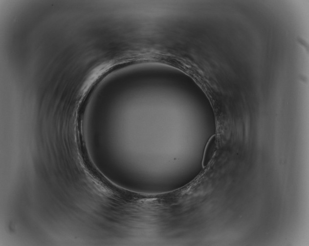 X0000092320054200709141420