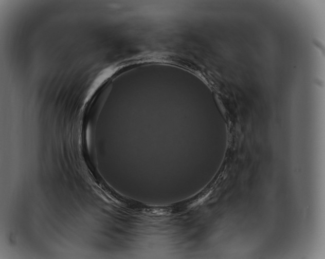 X0000092320056200709141420