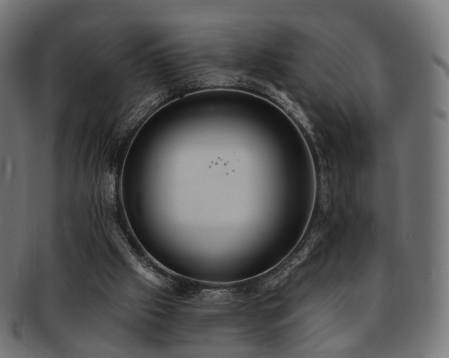 X0000092320057200709141420