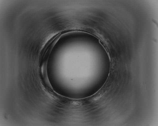 X0000092320060200709141421