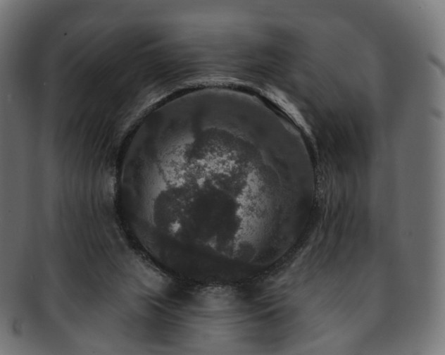 X0000092320063200709141421