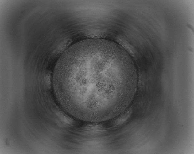 X0000092320065200709141421