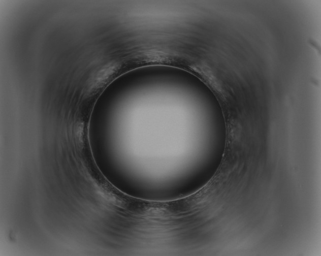 X0000092320066200709141421