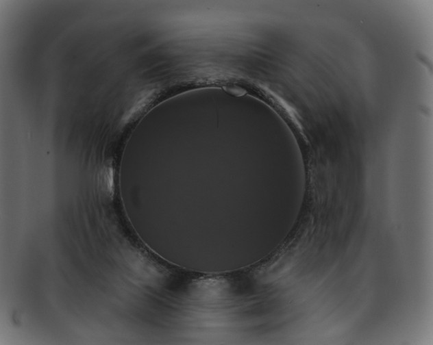 X0000092320067200709141421