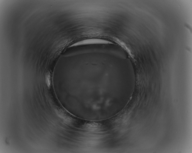 X0000092320069200709141421