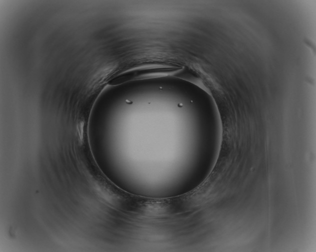 X0000092320070200709141421
