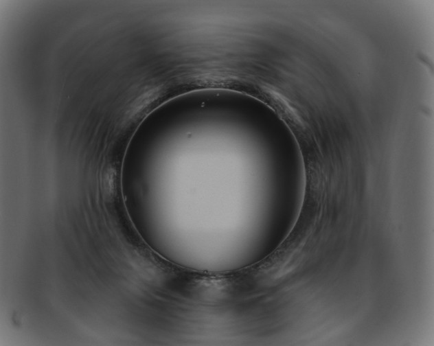 X0000092320071200709141421