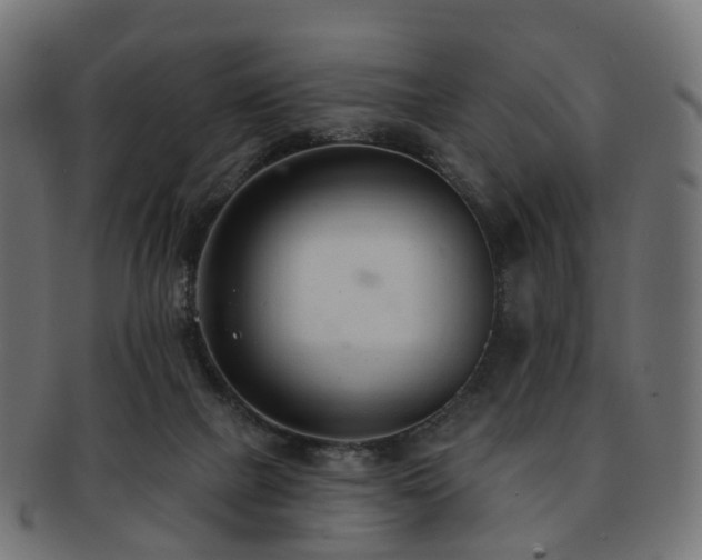 X0000092320073200709141421