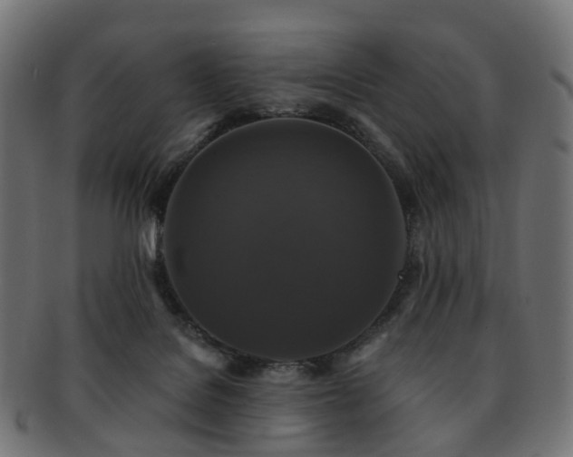 X0000092320076200709141421