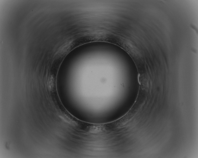 X0000092320077200709141421