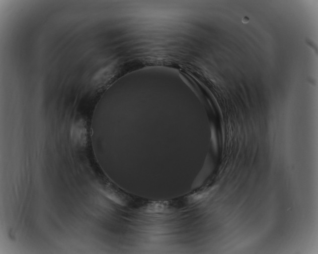 X0000092320080200709141421