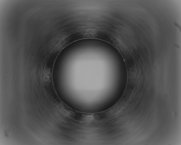 X0000092320083200709141421