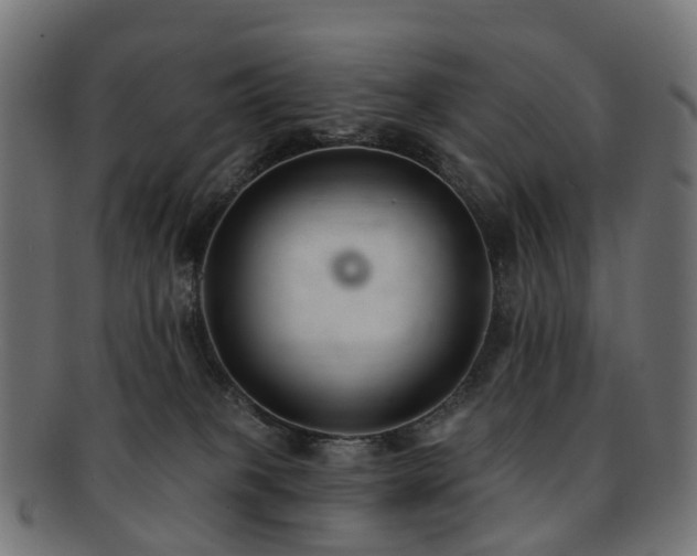 X0000092320085200709141421