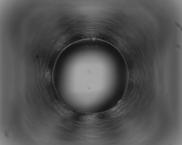 X0000092320086200709141421