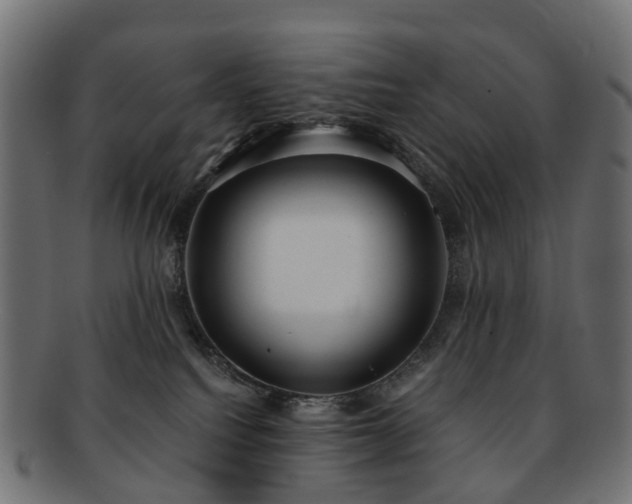 X0000092320088200709141421