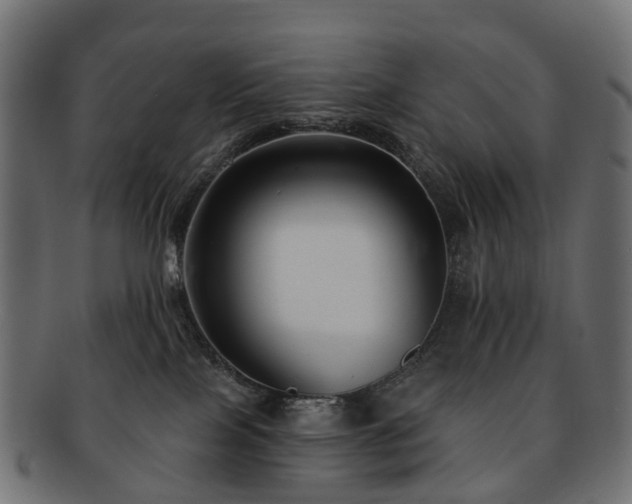 X0000092320089200709141421