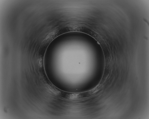 X0000092320090200709141421