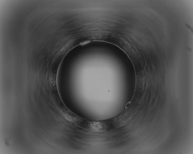 X0000092320091200709141421