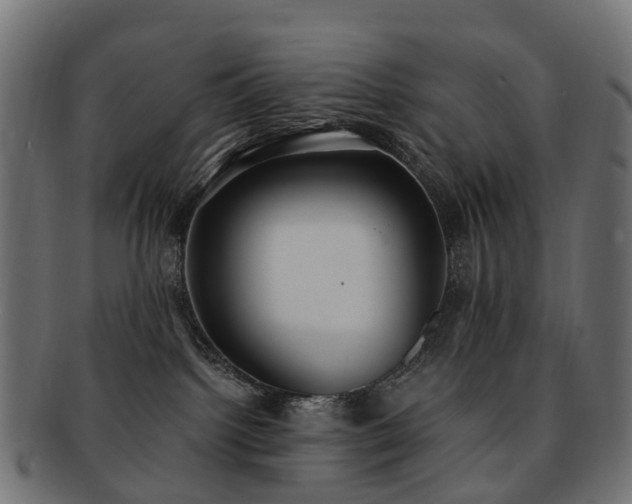 X0000092320092200709141421