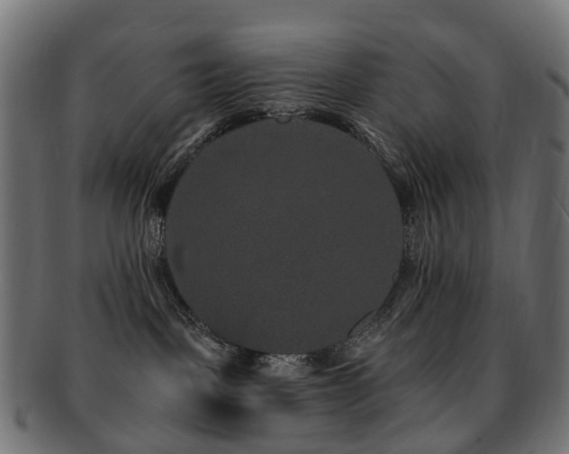 X0000092320093200709141421