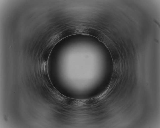 X0000092320094200709141421