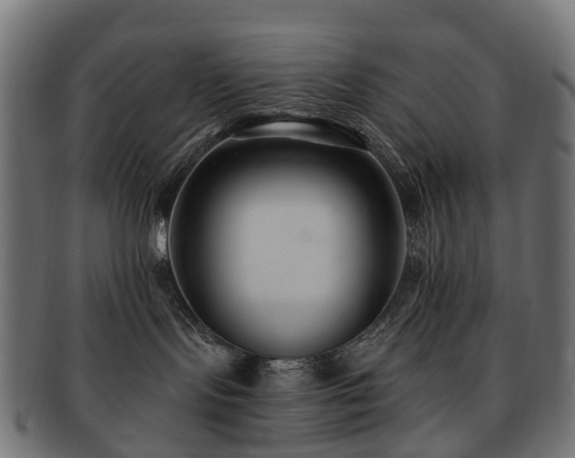 X0000092320095200709141421