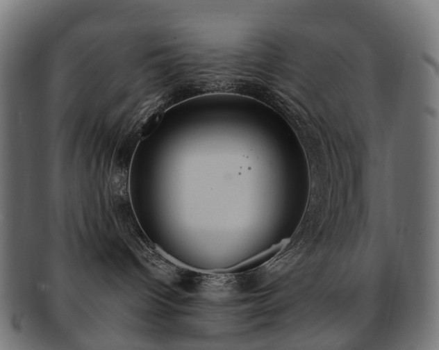 X0000092320096200709141421