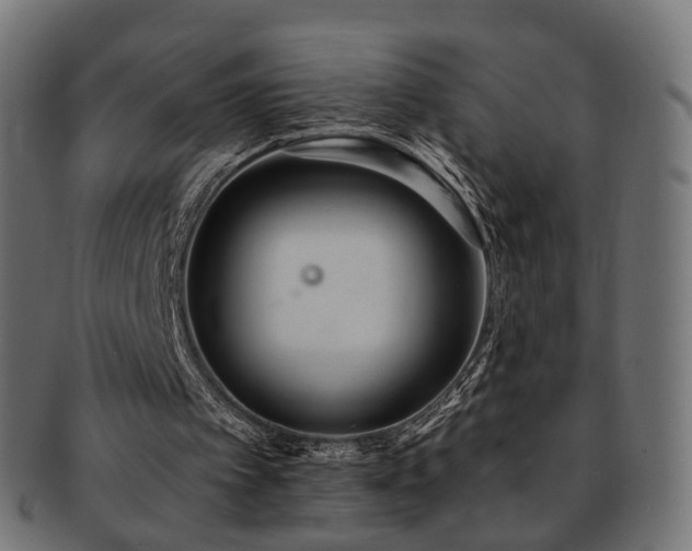 X0000092320097200709141420