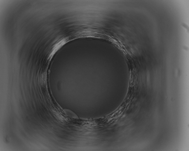 X0000092320099200709141420