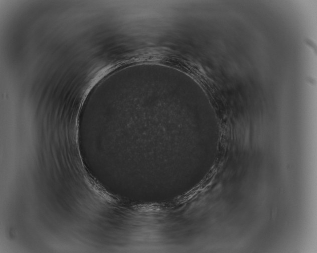 X0000092320100200709141420