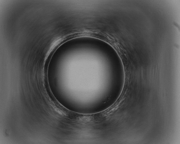 X0000092320102200709141420
