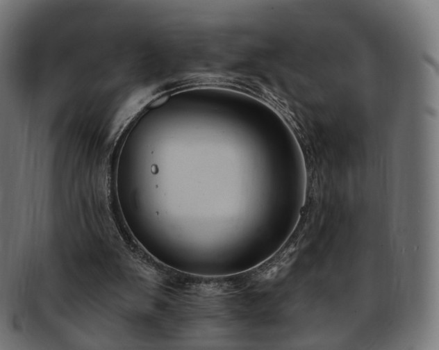 X0000092320103200709141420