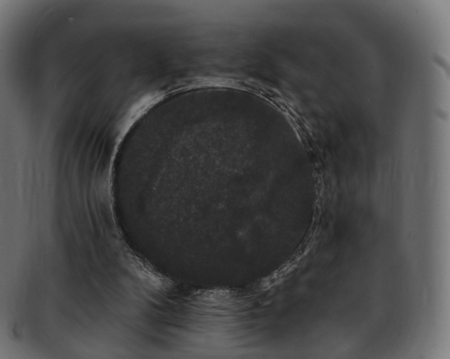 X0000092320104200709141420