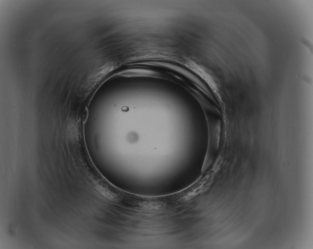 X0000092320105200709141420