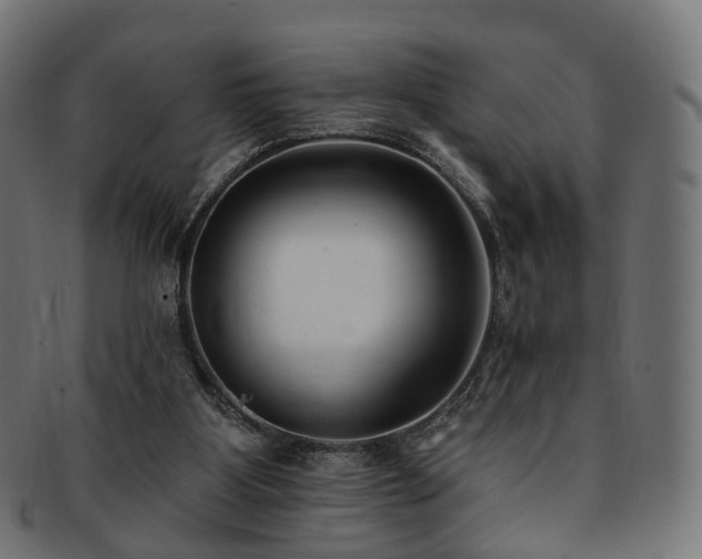 X0000092320107200709141420