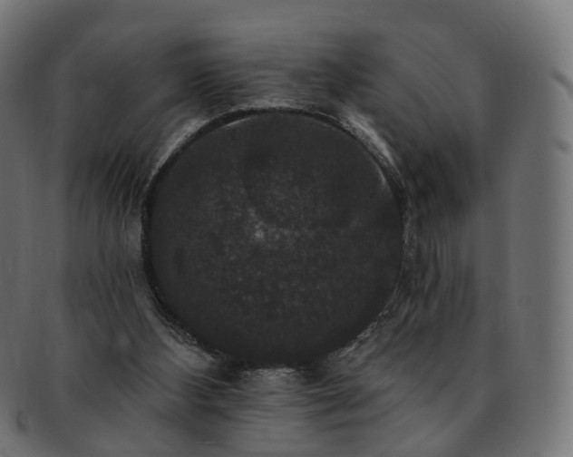 X0000092320108200709141420