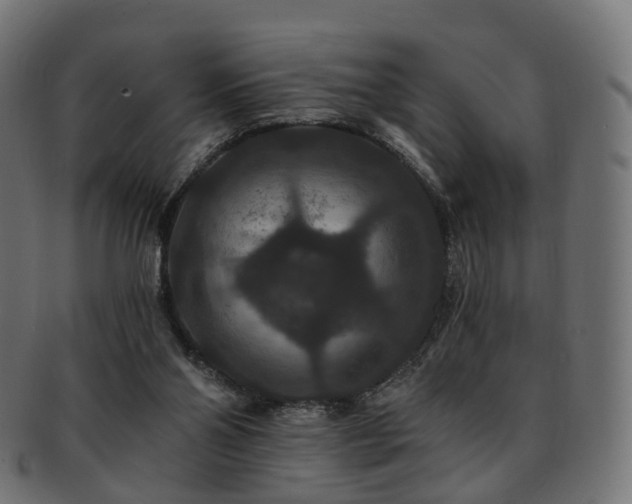 X0000092320110200709141420