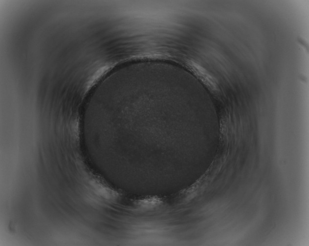 X0000092320112200709141420