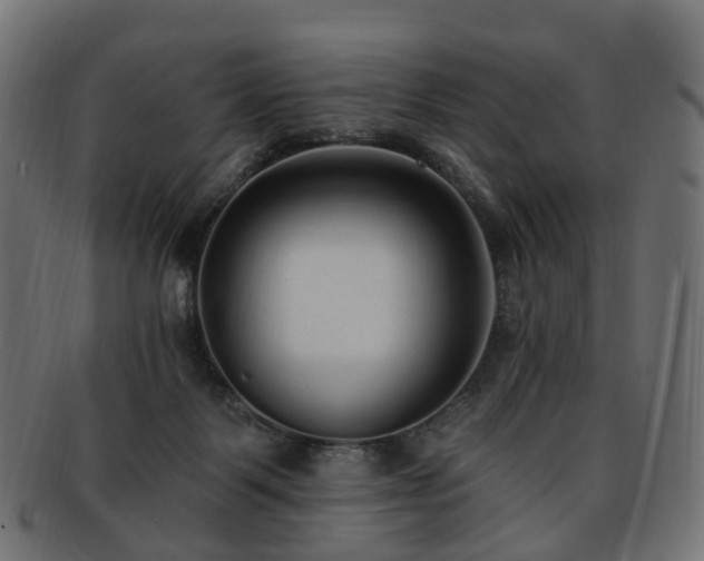 X0000092320123200709141420