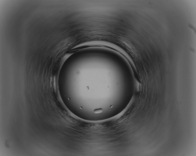 X0000092320125200709141420
