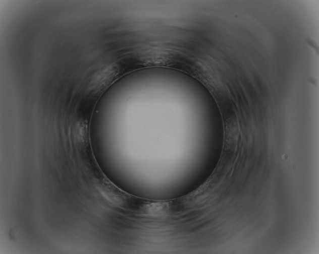 X0000092320126200709141420