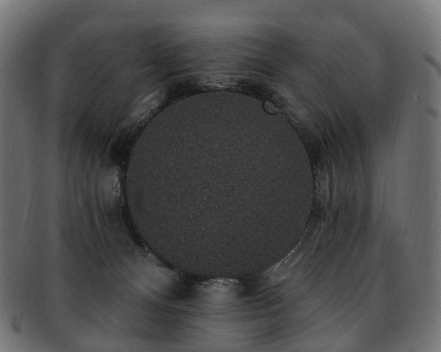 X0000092320128200709141420