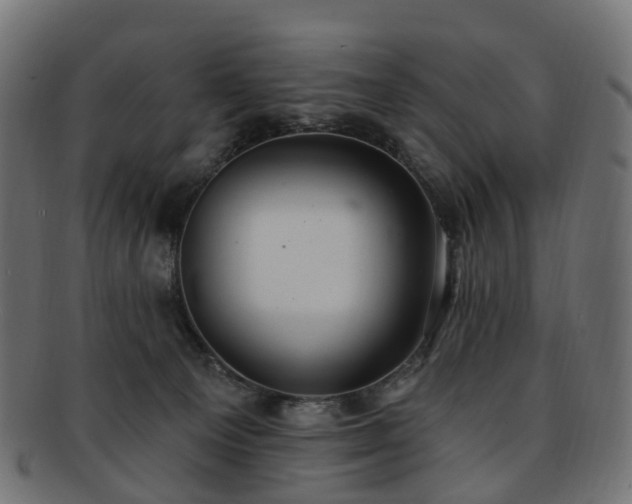 X0000092320129200709141420