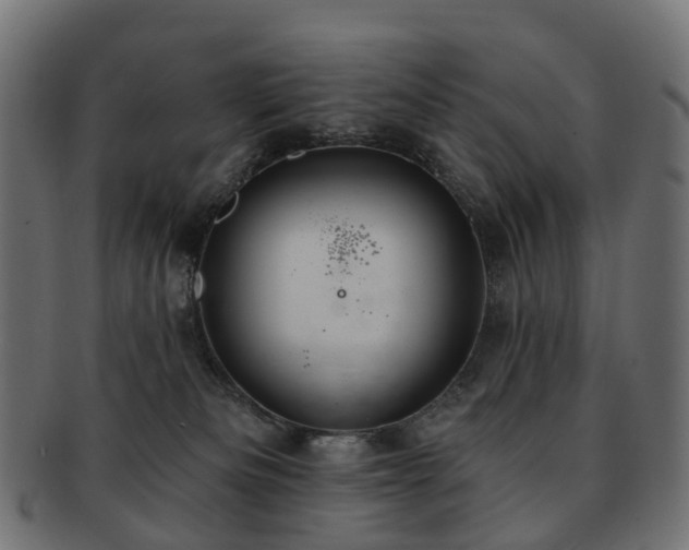 X0000092320133200709141420