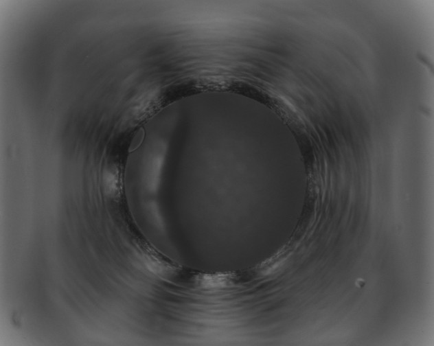 X0000092320134200709141420