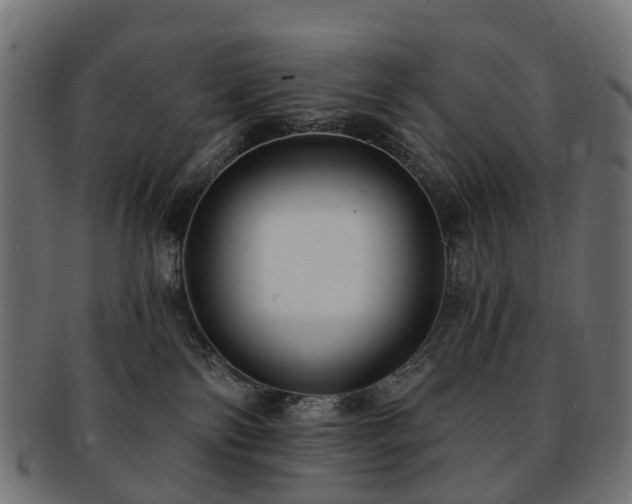 X0000092320138200709141420