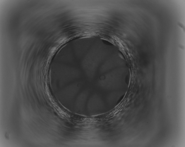 X0000092320145200709141419
