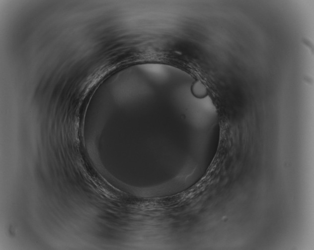 X0000092320146200709141419