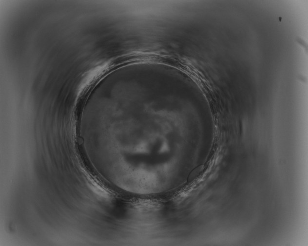 X0000092320149200709141419