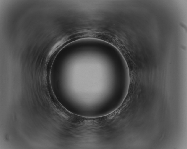 X0000092320150200709141419